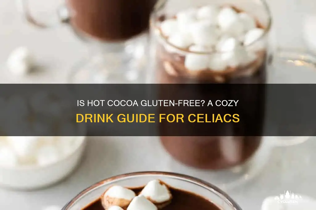 is hot cocoa gluten free