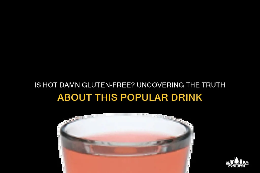 is hot damn gluten free
