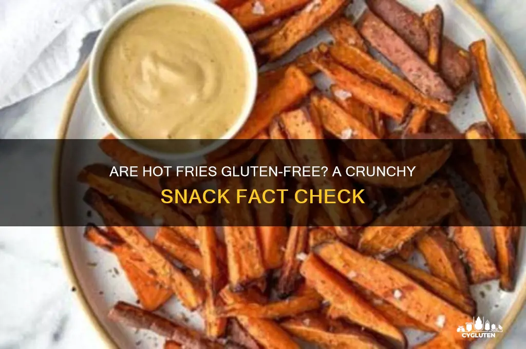 is hot fries gluten fre