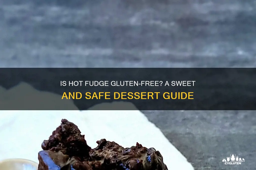 is hot fudge gluten free