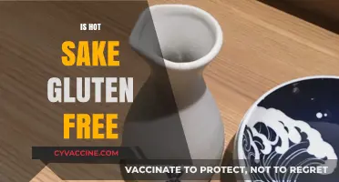 Is Hot Sake Gluten-Free? Exploring Japanese Rice Wine Safety
