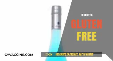 Is HPnotiq Gluten-Free? Discover the Truth About This Liqueur