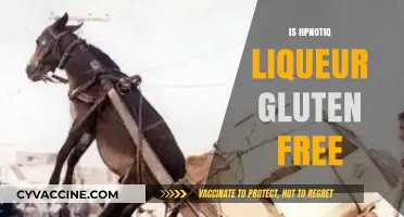 Is HPnotiq Liqueur Gluten-Free? A Comprehensive Guide for Drinkers