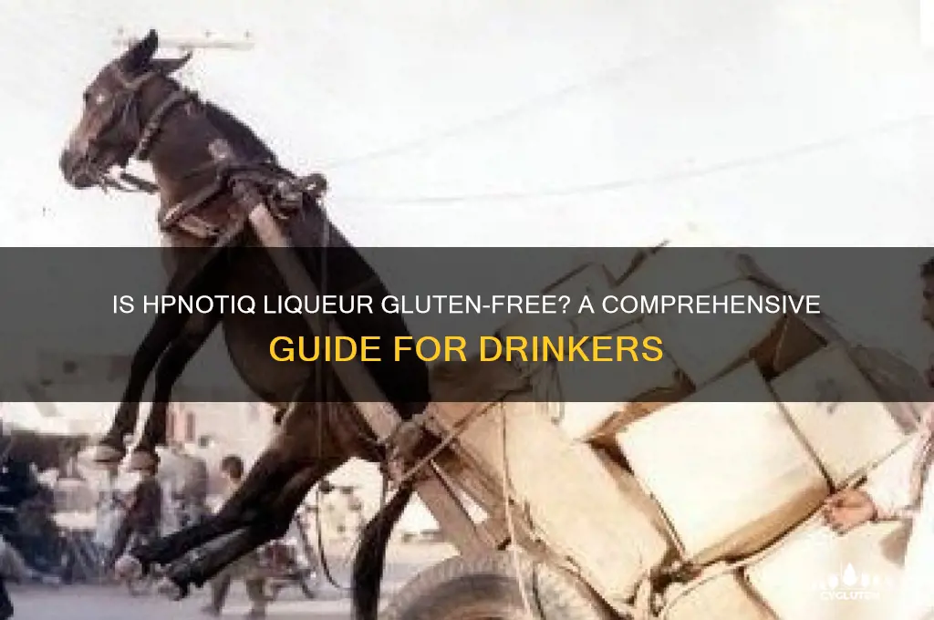 is hpnotiq liqueur gluten free