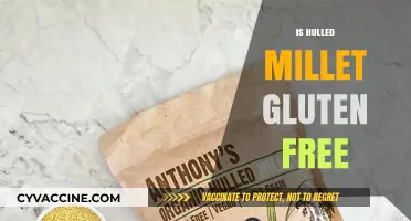 Is Hulled Millet Gluten-Free? A Comprehensive Guide for Celiacs