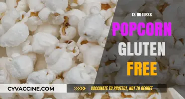 Hulless Popcorn: A Gluten-Free Snack Option Explained