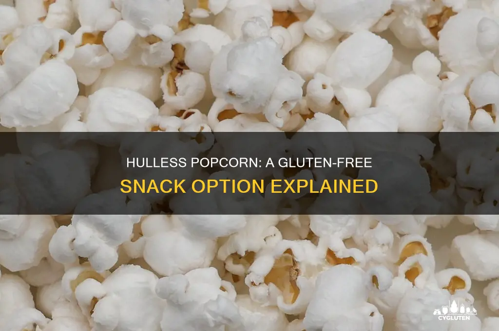 is hulless popcorn gluten free