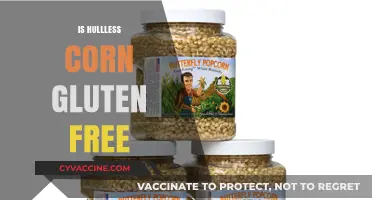 Hulless Corn and Gluten: Unraveling the Facts for a Safe Diet