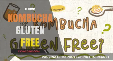 Is Humm Kombucha Gluten-Free? A Complete Guide for Health-Conscious Consumers