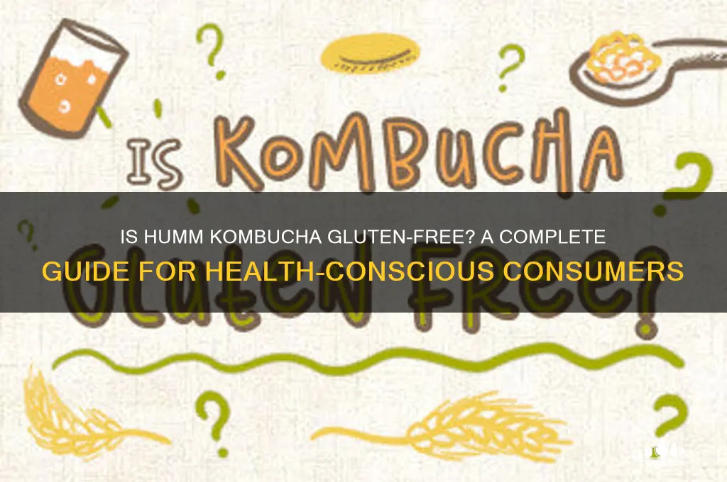 is humm kombucha gluten free