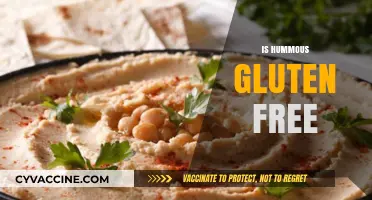 Is Hummus Gluten-Free? A Complete Guide to Safe Snacking