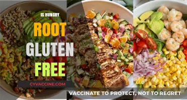Is Hungryroot Gluten-Free? A Complete Guide to Their Meals