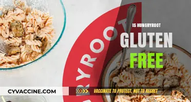 Is Hungryroot Gluten-Free? A Comprehensive Guide to Their Options