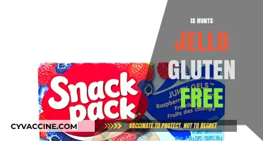 Is Hunt's Jello Gluten-Free? A Clear Answer for Dietary Needs