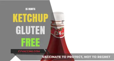 Is Hunt's Ketchup Gluten-Free? A Complete Guide for Celiac Diets