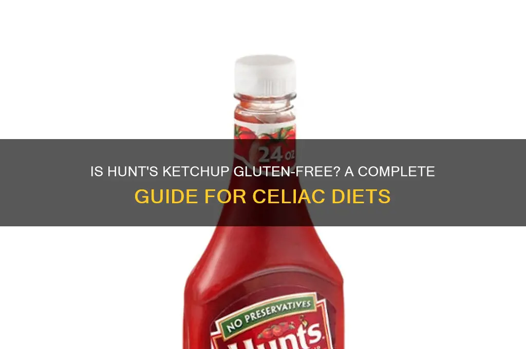 is hunts ketchup gluten free