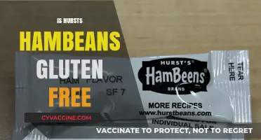 Are Hurst's Hambeans Gluten-Free? A Complete Guide for Celiacs