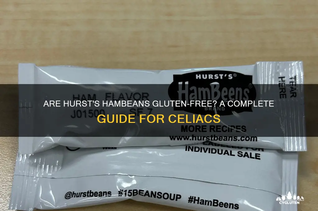 is hursts hambeans gluten free