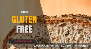 Is Husk Gluten-Free? Exploring Its Safety for Celiac Diets