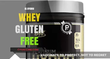 Is Hydro Whey Gluten Free? A Clear Answer for Fitness Enthusiasts