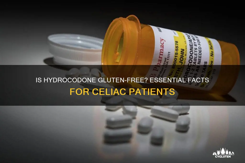 is hydrocodone gluten free