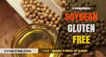 Is Hydrogenated Soybean Oil Gluten-Free? A Comprehensive Guide