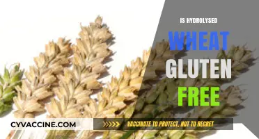 Is Hydrolyzed Wheat Gluten-Free? Unraveling the Truth for Celiacs