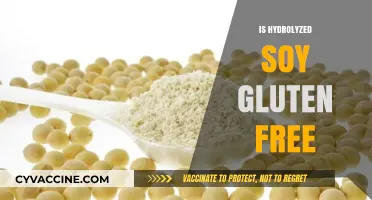 Is Hydrolyzed Soy Gluten-Free? Understanding Food Labels and Safety