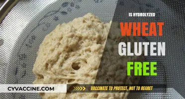 Is Hydrolyzed Wheat Gluten-Free? Unraveling the Facts for Celiacs