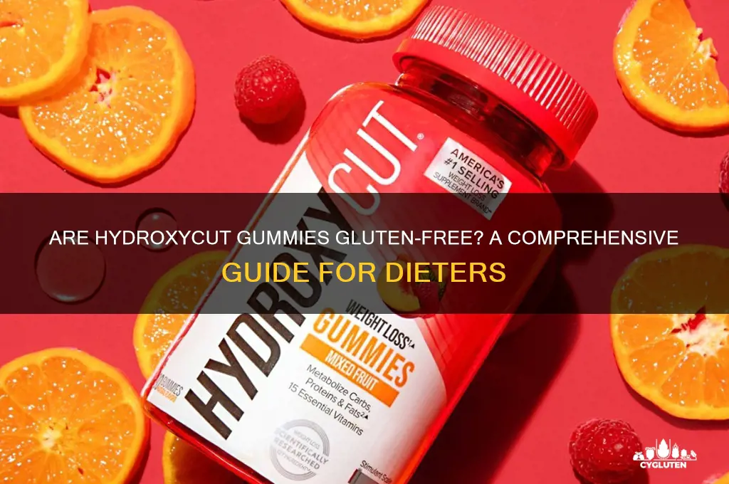 is hydroxycut gummies gluten free