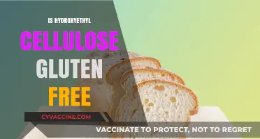 Is Hydroxyethyl Cellulose Gluten-Free? A Comprehensive Guide