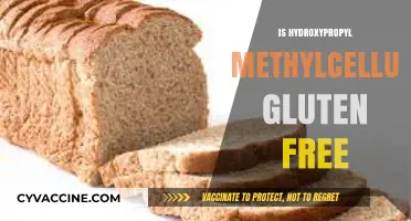 Is Hydroxypropyl Methylcellulose Gluten-Free? Facts and Insights