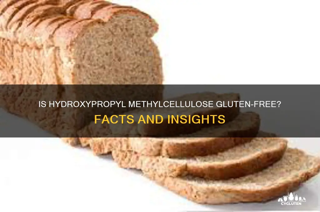 is hydroxypropyl methylcellulose gluten free