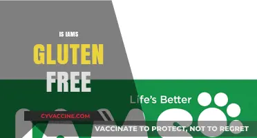 Is Iams Gluten Free? Uncovering the Truth for Your Pet's Diet
