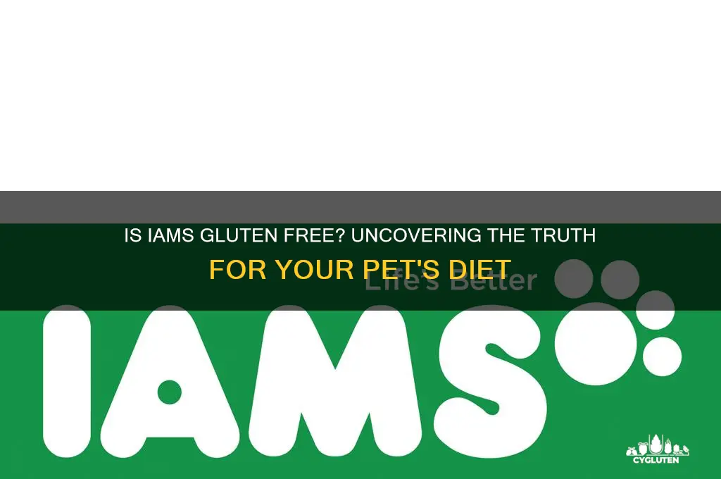 is iams gluten free