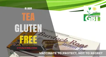 Is Iaso Tea Gluten-Free? A Comprehensive Guide for Tea Lovers