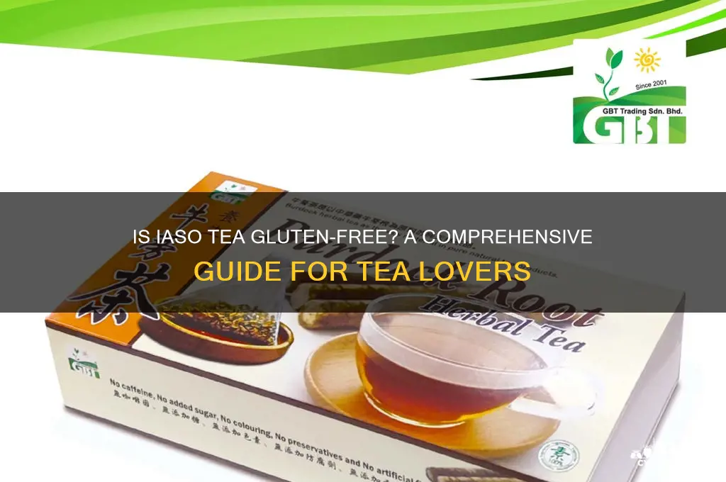 is iaso tea gluten free