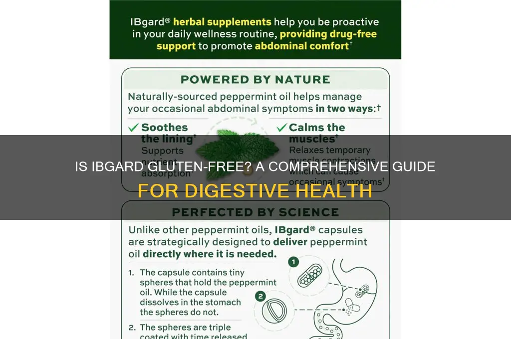 is ib gard gluten free