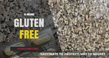 Is Ibgard Gluten-Free? A Comprehensive Guide for Dietary Concerns