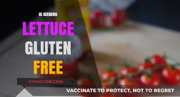 Is Iceberg Lettuce Gluten-Free? A Clear Answer for Your Diet