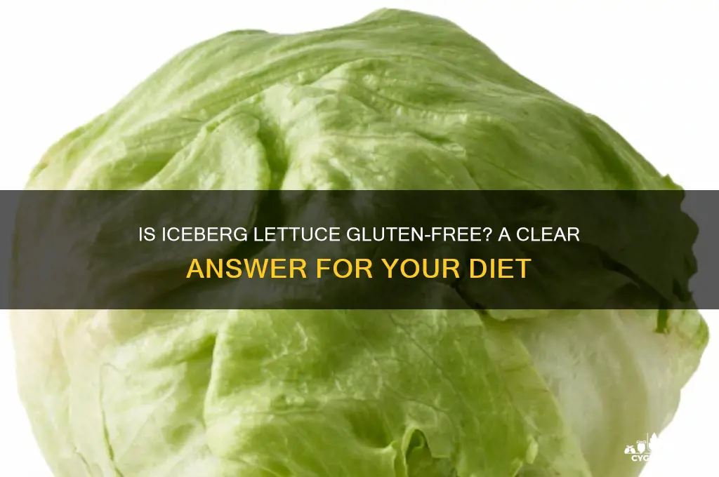 is iceberg lettuce gluten free