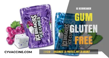 Is Icebreaker Gum Gluten-Free? A Comprehensive Guide for Consumers