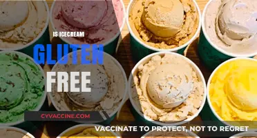 Is Ice Cream Gluten-Free? A Sweet Guide to Safe Scoops