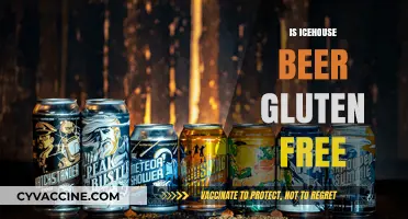 Is Icehouse Beer Gluten-Free? A Complete Guide for Beer Lovers