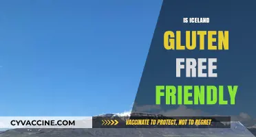 Exploring Iceland: A Gluten-Free Traveler's Paradise or Challenge?