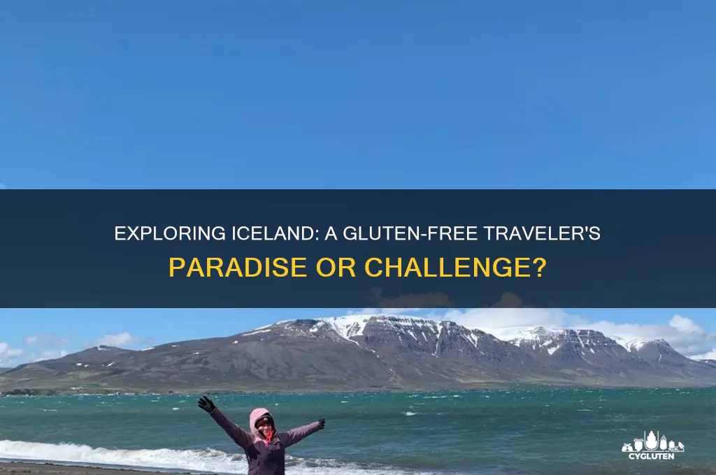 is iceland gluten free friendly