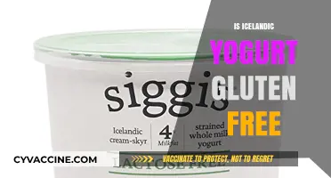 Is Icelandic Yogurt Gluten-Free? A Complete Guide for Dietary Needs