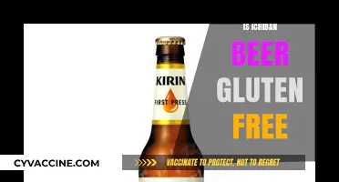 Is Ichiban Beer Gluten-Free? A Complete Guide for Beer Lovers