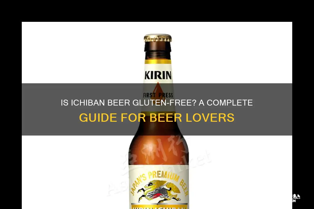 is ichiban beer gluten free