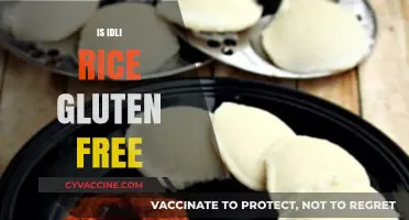 Is Idli Rice Gluten-Free? A Comprehensive Guide for Celiacs